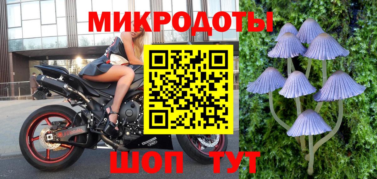 Псилоцибиновые грибы MAGIC MUSHROOMS Канаш