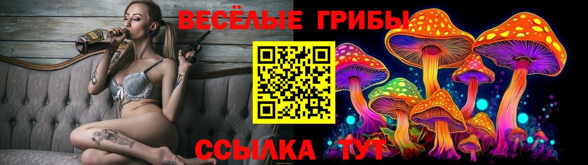 Псилоцибиновые грибы мицелий  Псилоцибиновые грибы Psilocybe  Вход с VPN  Канаш 